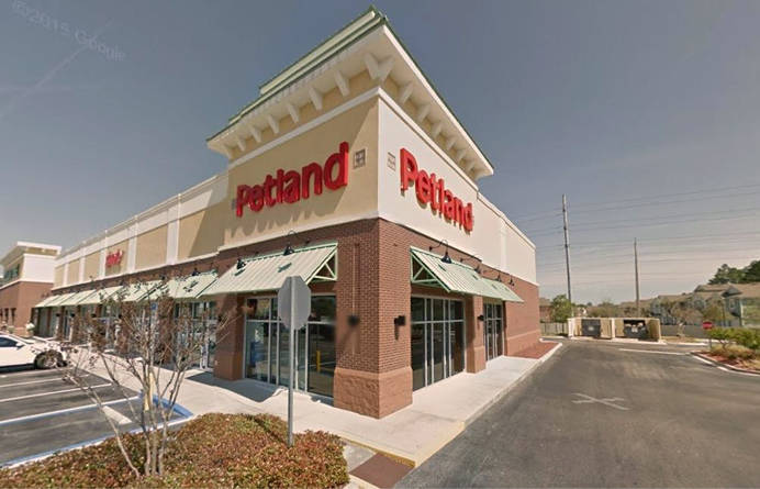 Tienda Petland Knoxville, Tennessee