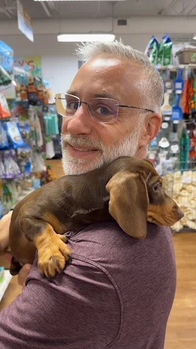 Man holding a brown dachshund puppy in the store