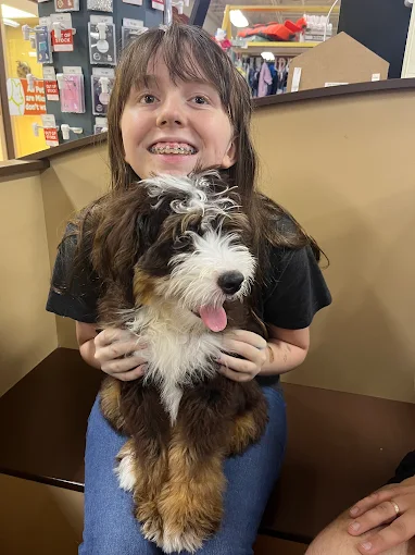 Girl holding a black, white, and brown puppy